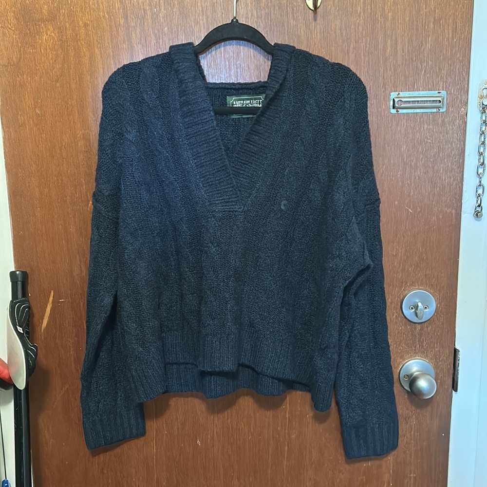 NWOT American Eagle Cable Knit Hooded Sweater